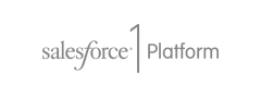 Salesforce1 Platform